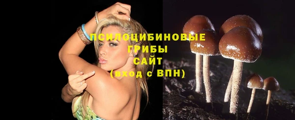 соль курить ск Зеленокумск