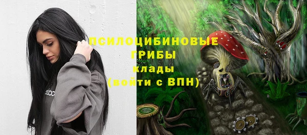 спиды Зеленодольск
