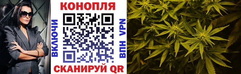 Бошки марихуана конопля  где продают   Поронайск 